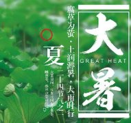 大暑焕新家，清凉福利“装”满一夏