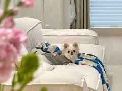 100㎡ 留白：让时光慢下来的