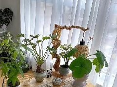 135㎡治愈系宅邸，装满人间