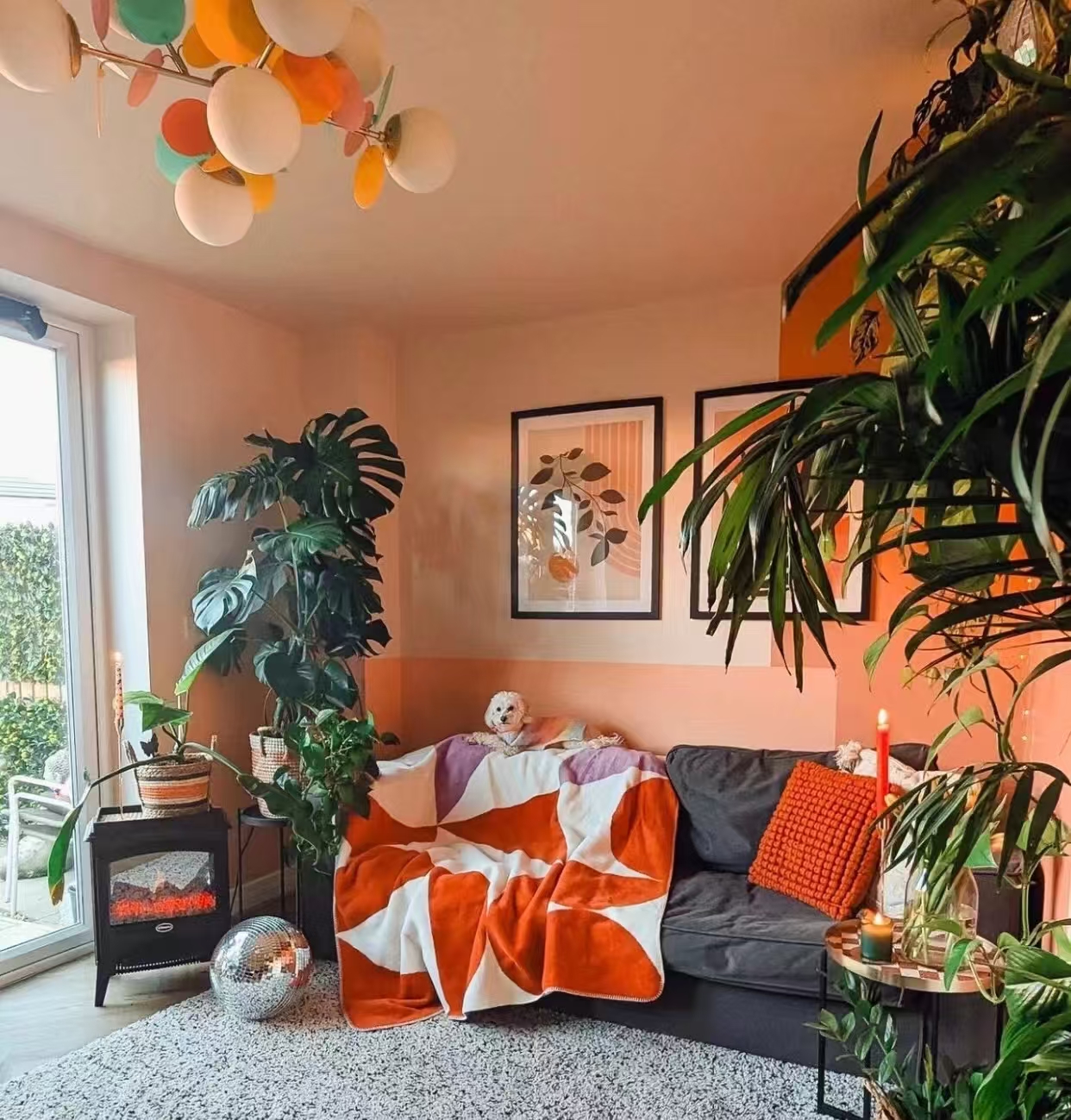 真是一抹酣畅淋漓的橘红