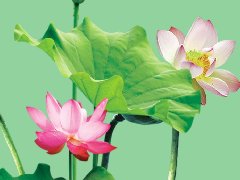 小暑家装嗨购令，邦建豪礼踏夏行